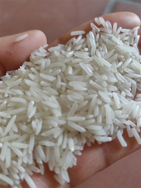 Nhận Đặt Cọc Mua Buôn Gạo