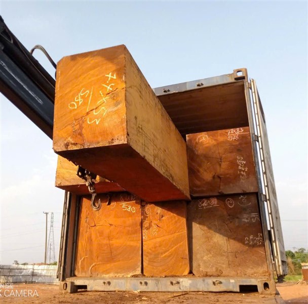 Bán buôn gỗ Gõ Đỏ nhập khẩu Nam Phi
