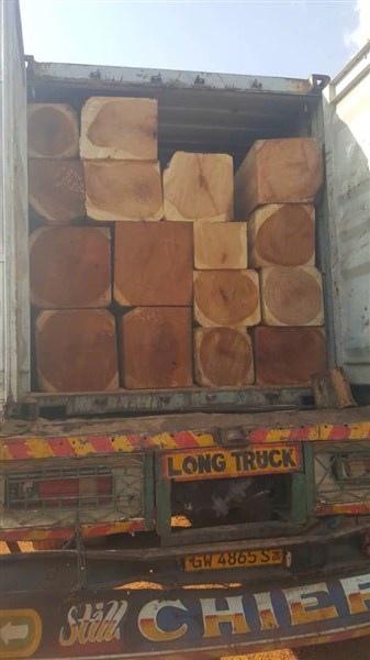 Gỗ nhập khẩu Nam Phi giá sỉ