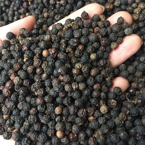 Vườn, trang trại, vùng, khu vực, xã, hợp tác xã - trồng hạt tiêu xuất khẩu