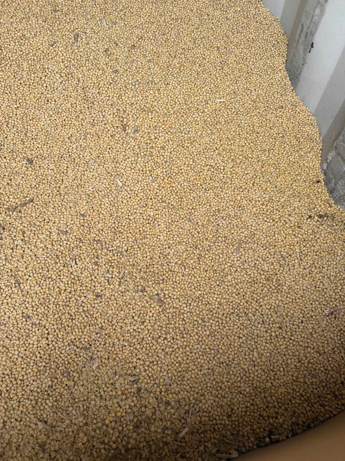 Bán buôn-bán sỉ đậu tương nhập khẩu Mỹ