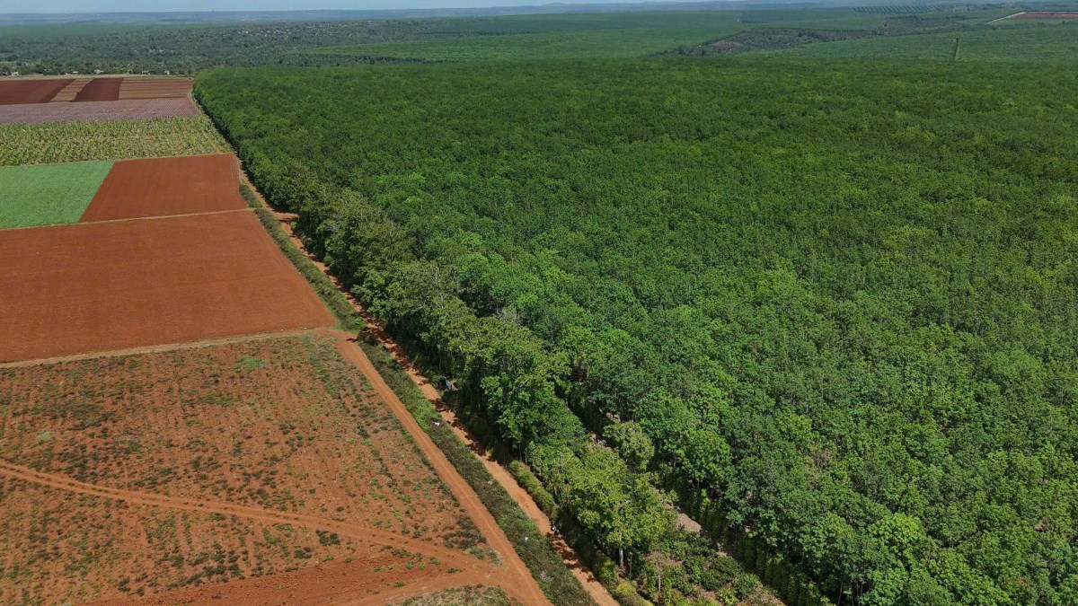 Bán đất khu công nghiệp tại tỉnh Đắc Lắc